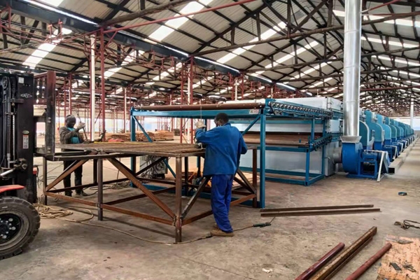 广西草莓APP色版下载安装