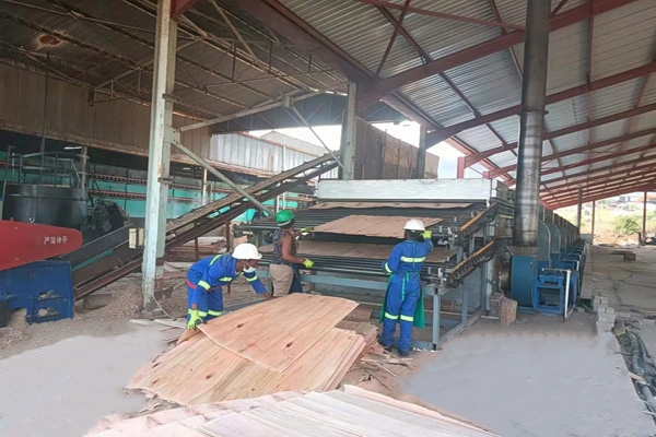 草莓污视频下载免费观看机价格