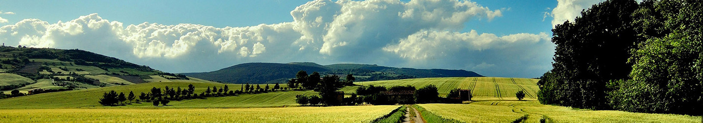 草莓视频APP下载18污