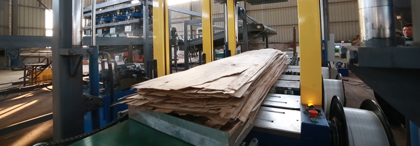 单层草莓视频APP下载18污