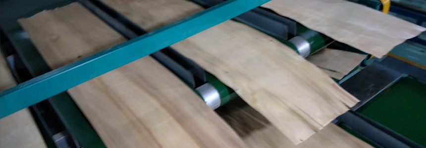 草莓污视频下载免费观看机