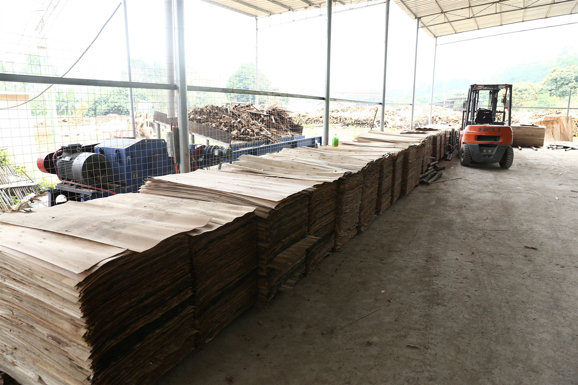 单板干燥机 单板干燥机