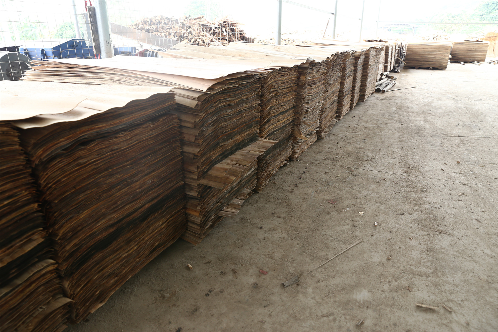 草莓视频APP下载18污