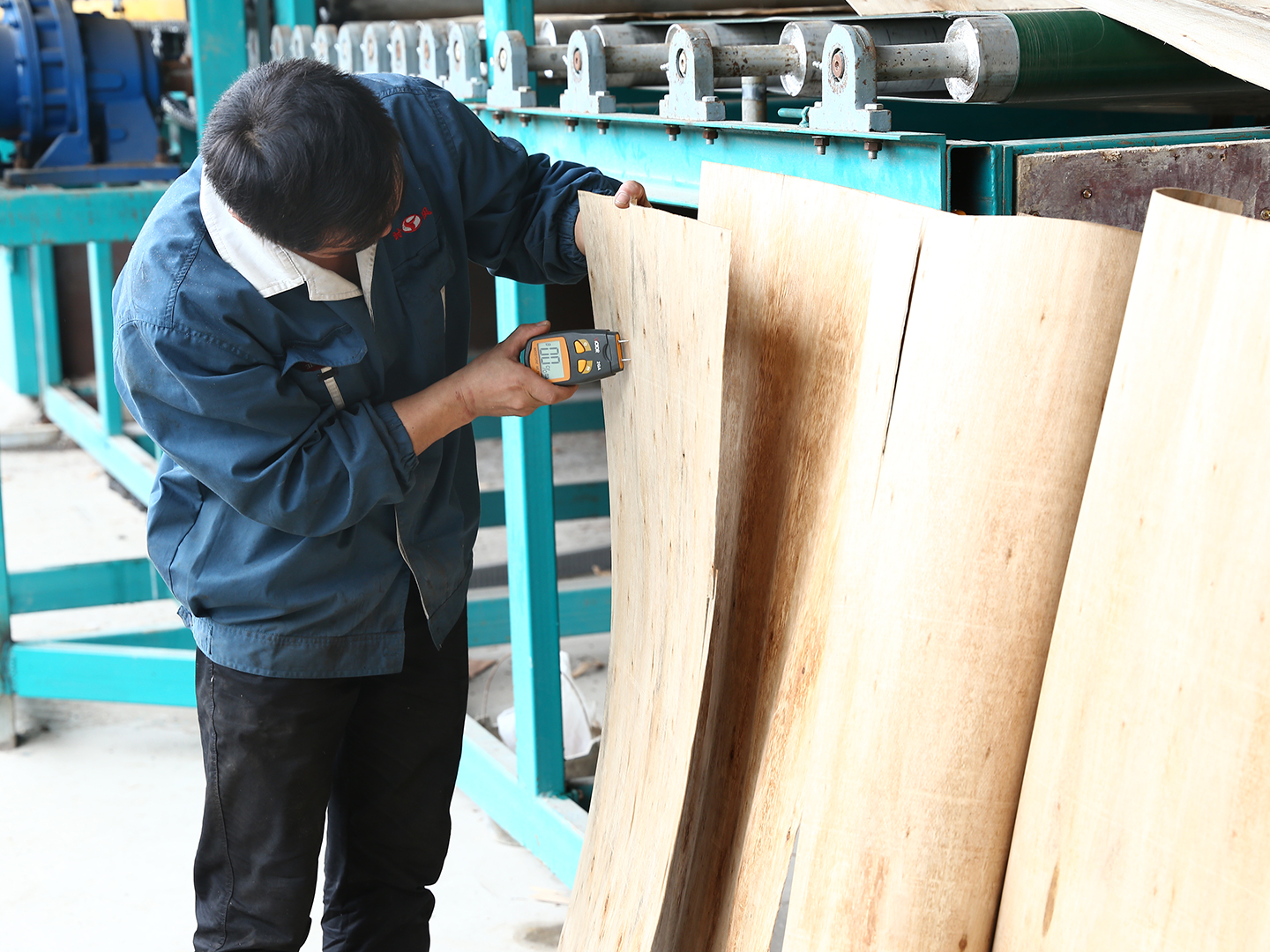 草莓视频APP下载18污 草莓视频APP下载18污