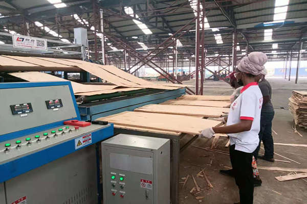 草莓APP色版下载安装 草莓APP色版下载安装