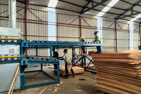 草莓视频APP下载18污