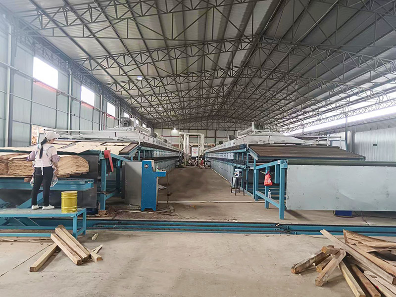 单板干燥机 单板干燥机