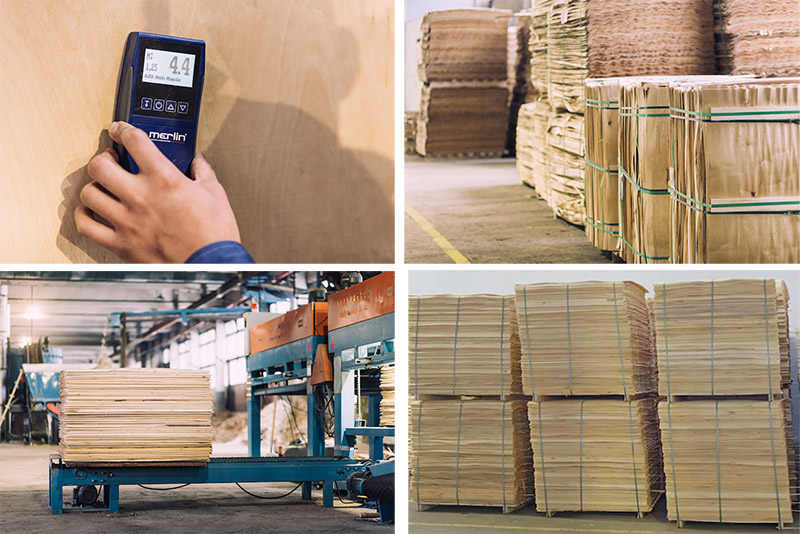 草莓视频APP下载18污