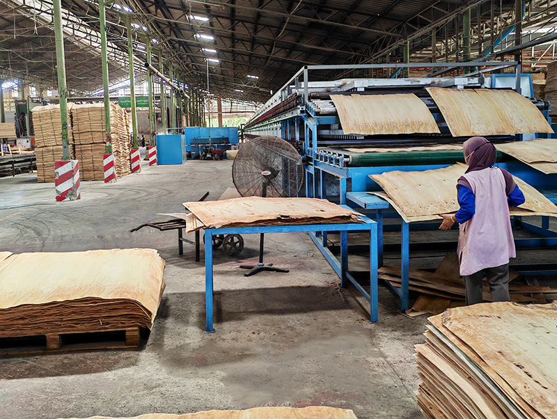 单板干燥机.jpg 单板干燥机.jpg